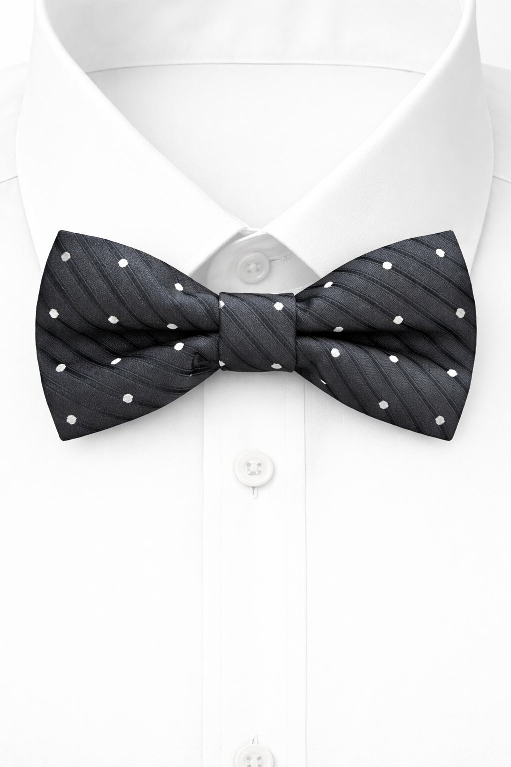 Giglio Milano papillon10