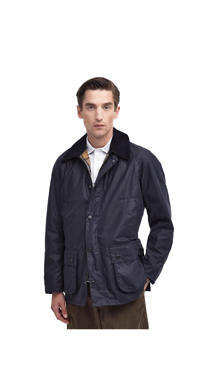 Barbour Ashby