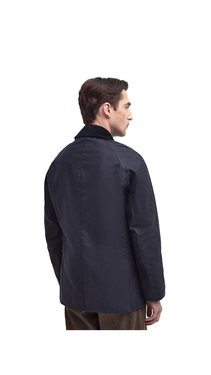 Barbour Ashby