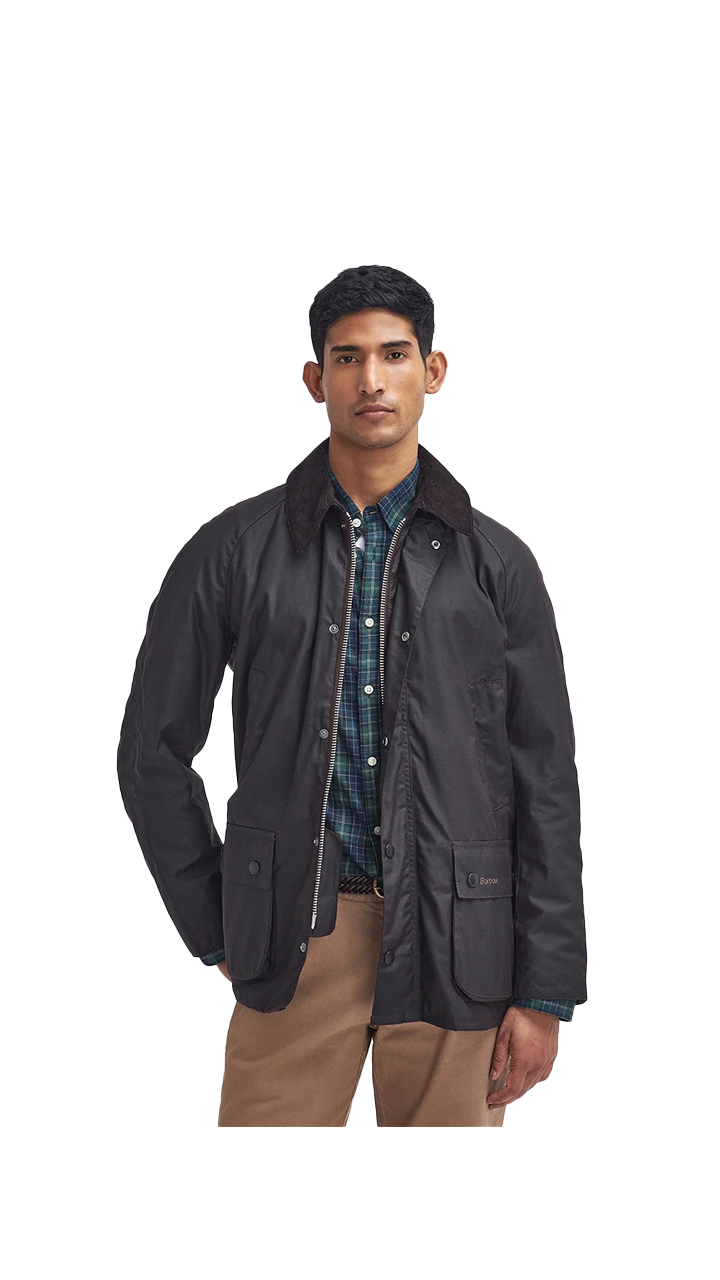 Barbour Ashby