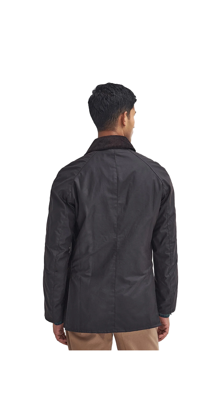 Barbour Ashby