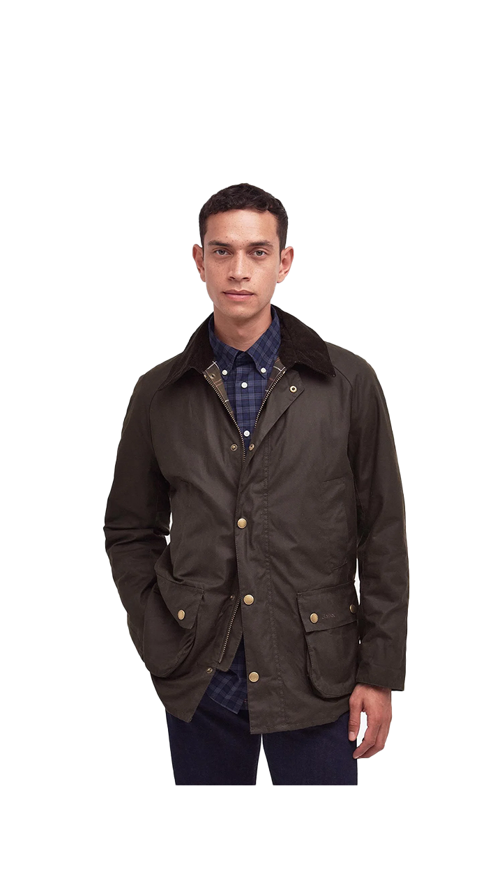 Barbour Ashby