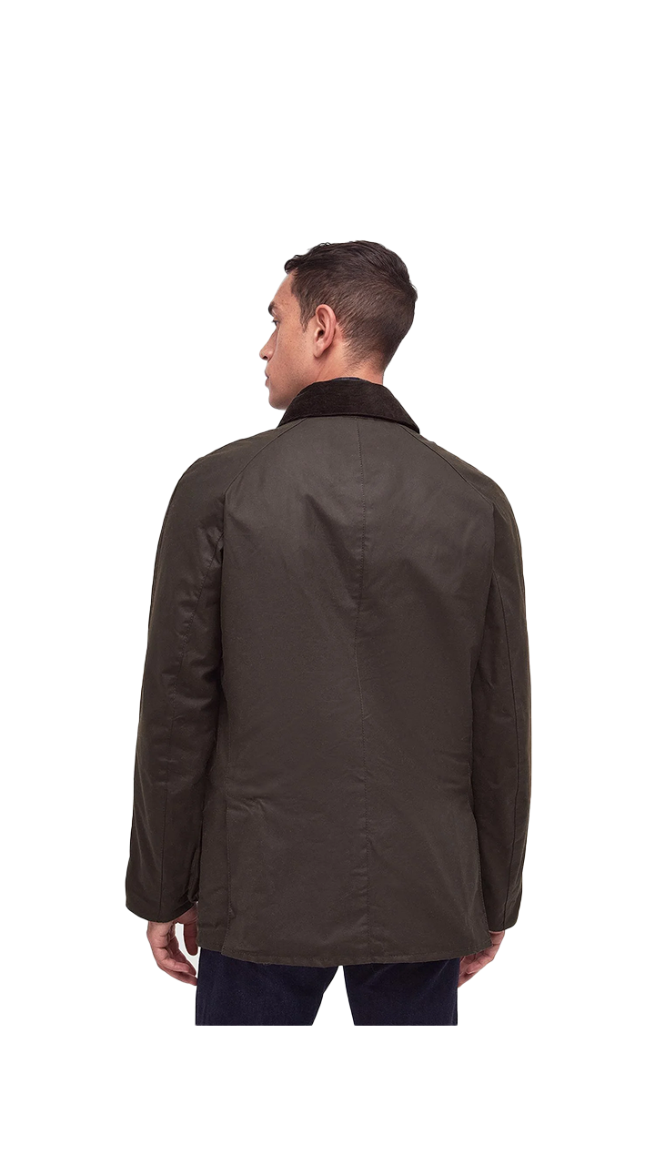 Barbour Ashby