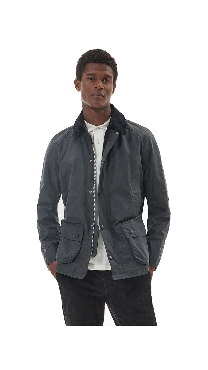 Barbour Ashby