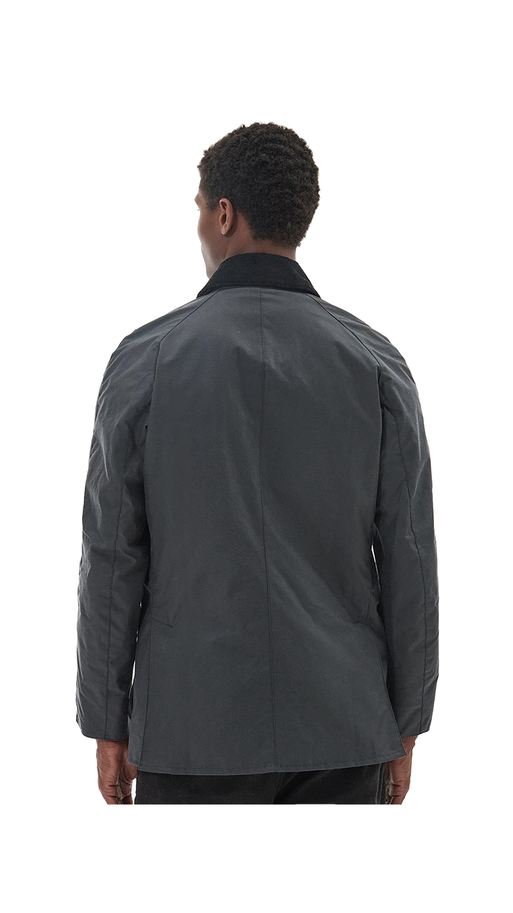 Barbour Ashby