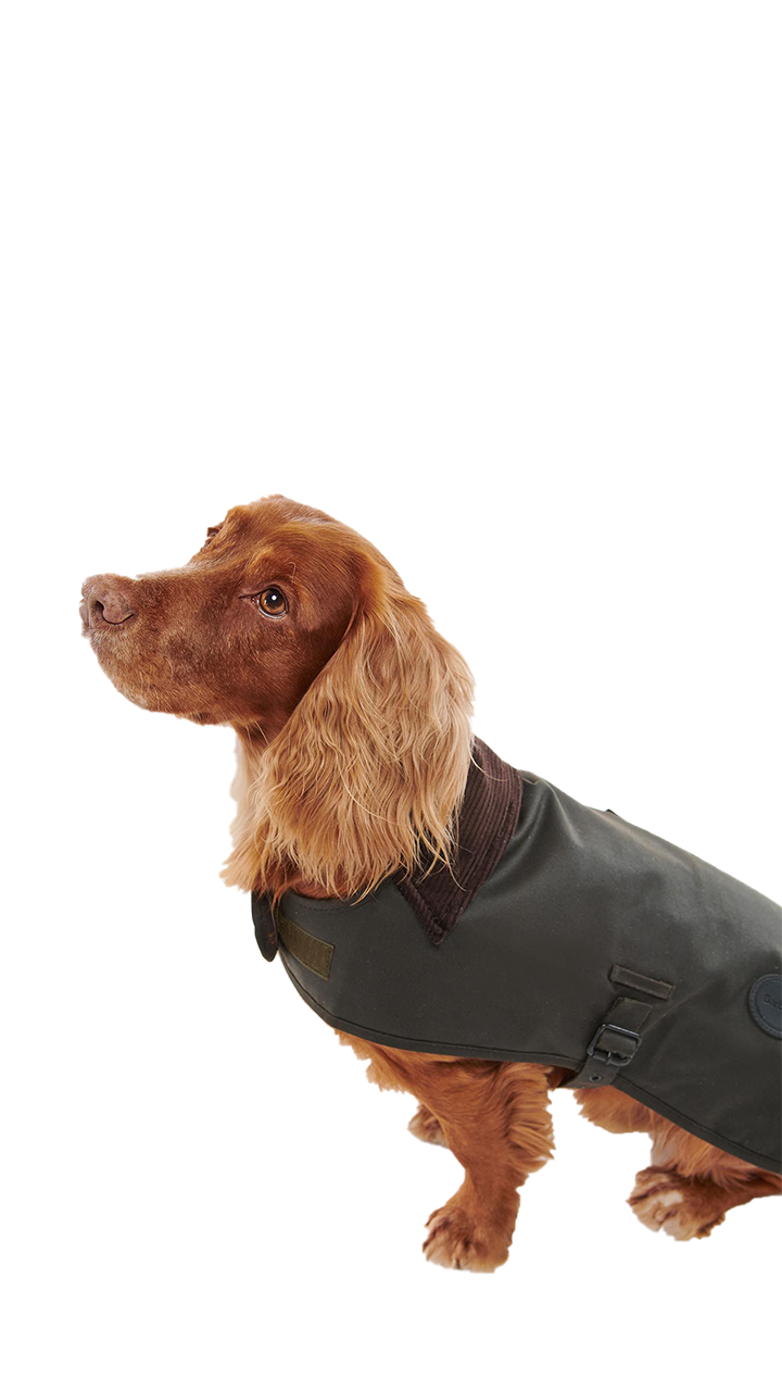Barbour Cappotto per cani