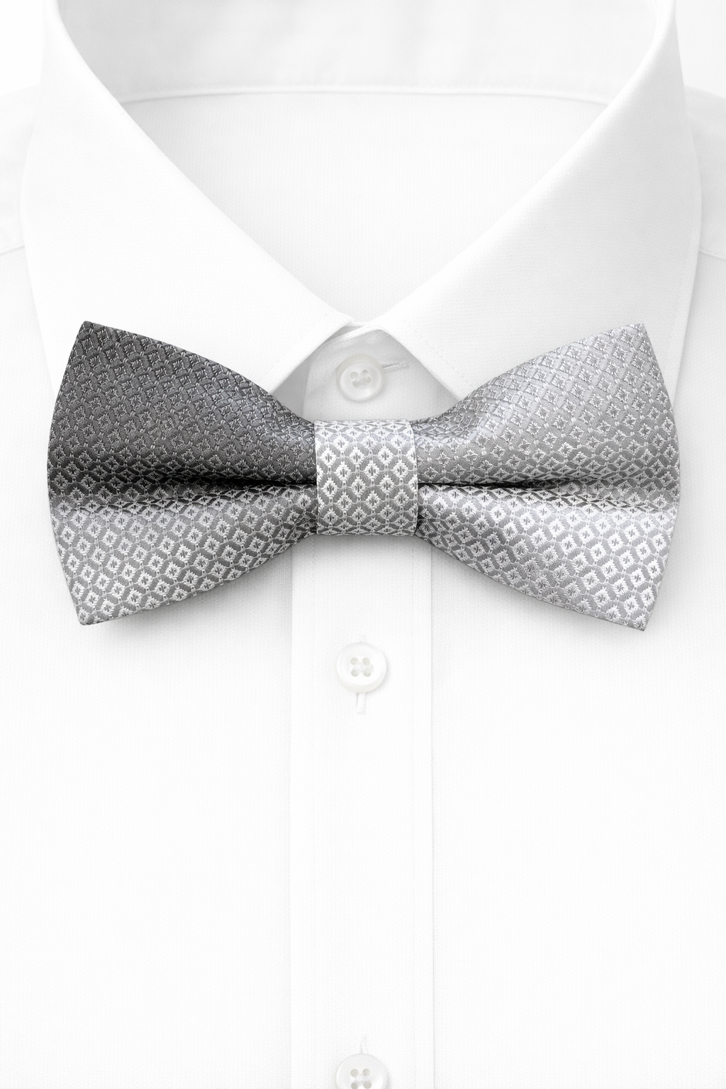 Giglio Milano papillon11