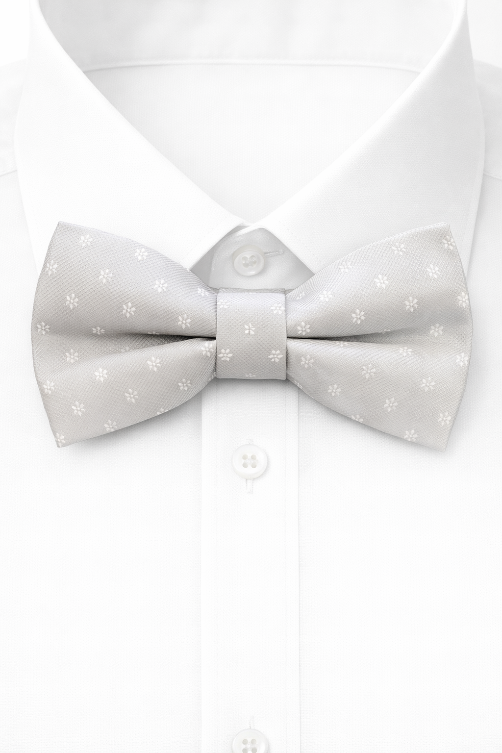 Giglio Milano papillon12