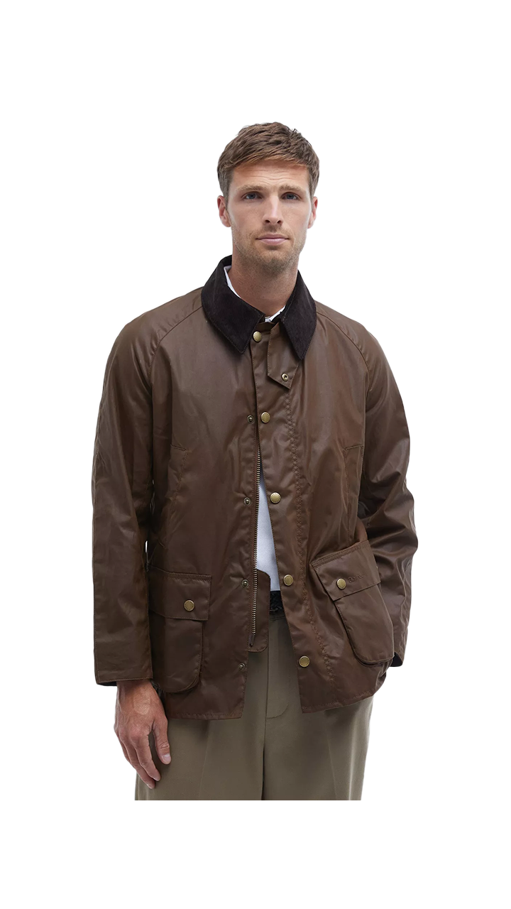 Barbour Ashby