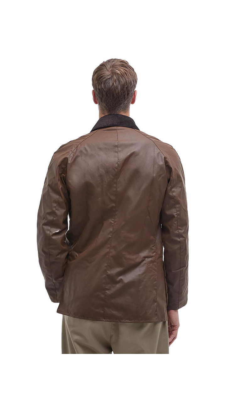 Barbour Ashby