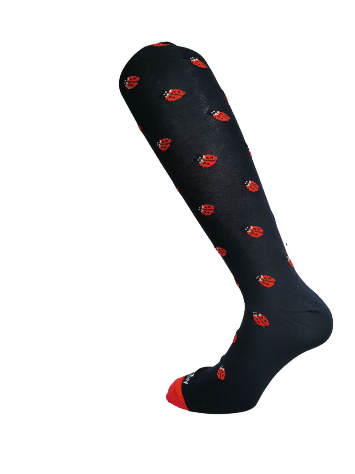 LAnza calze fantasia coccinella