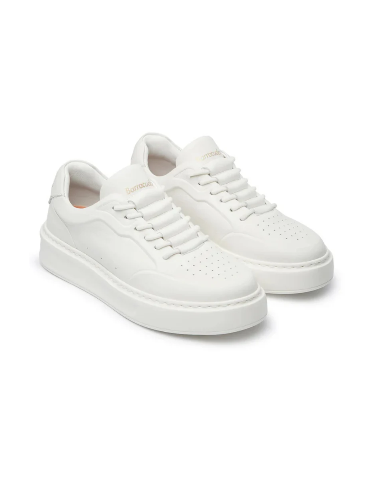 Barracuda sneakers Phoenix