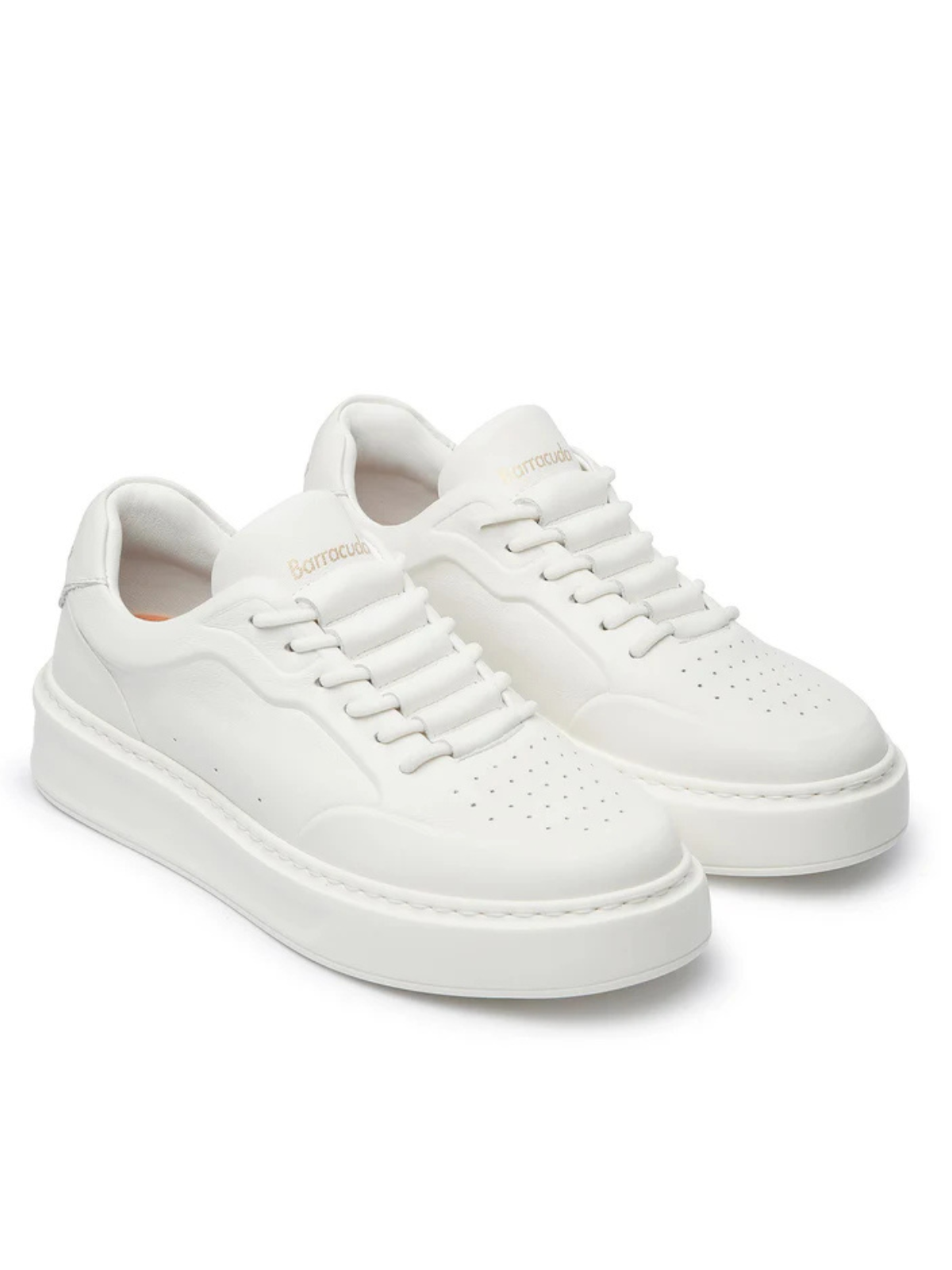 Barracuda sneakers Phoenix