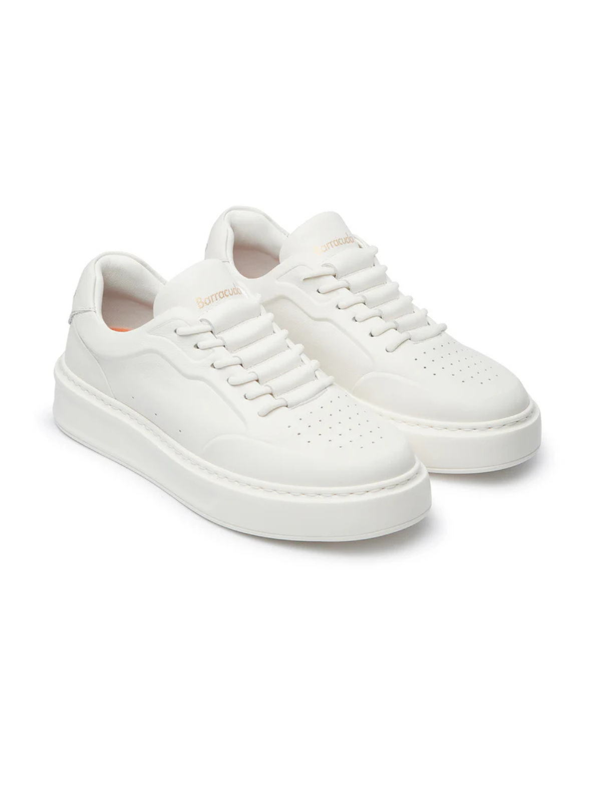 Barracuda Phoenix Sneakers