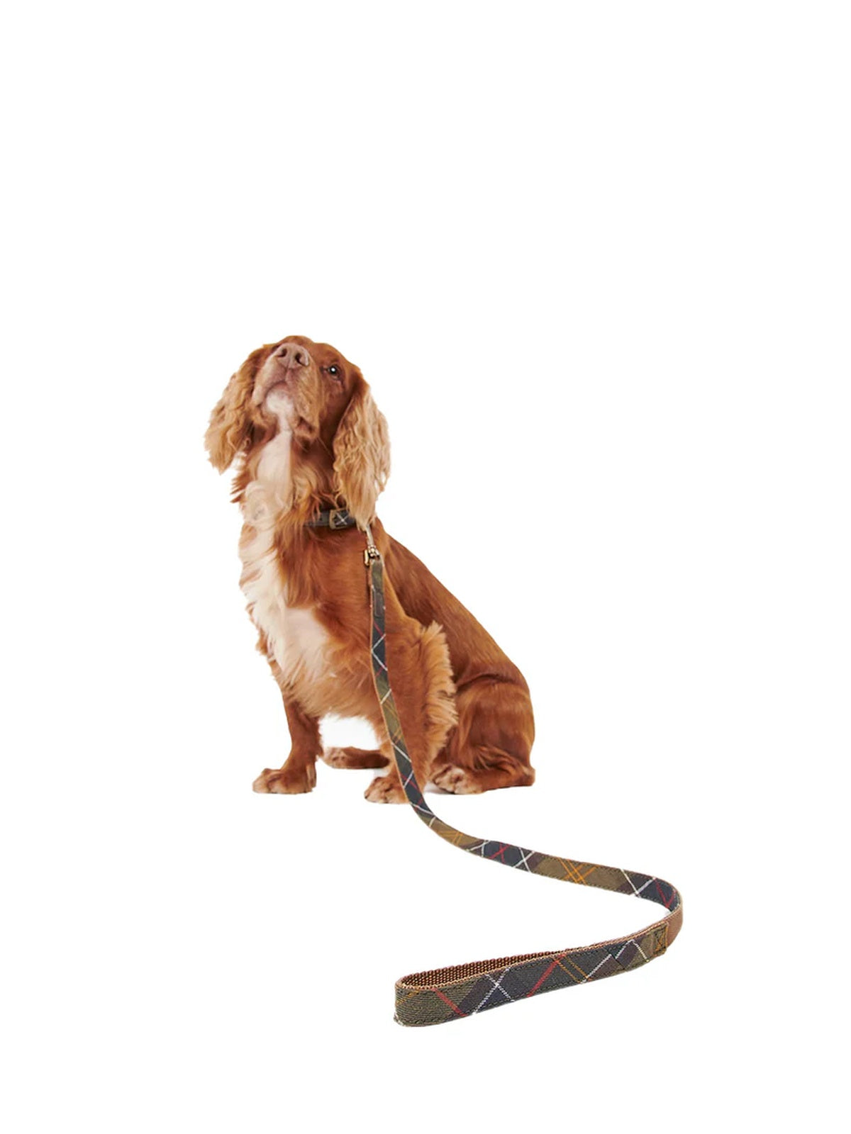 Barbour Guinzaglio per cani Tartan